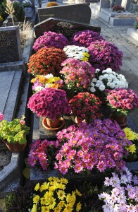 fleurs cimetière