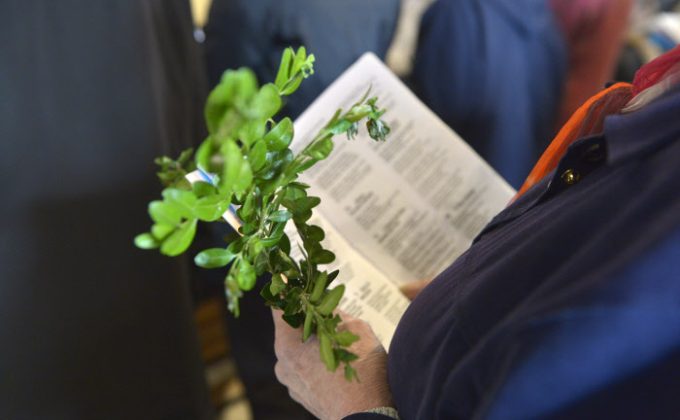 Messe des Rameaux 12 avril 2014 : Célébration de la messe des Rameaux, égl.Saint-Rémy de Vanves (92), France.
April 12, 2014 : The Palm Mass, St-Rémy church, Vanves (92), France.