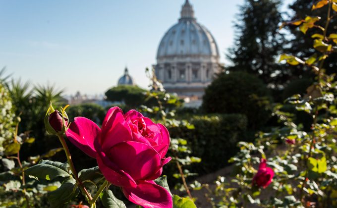 rose rouge à Rome